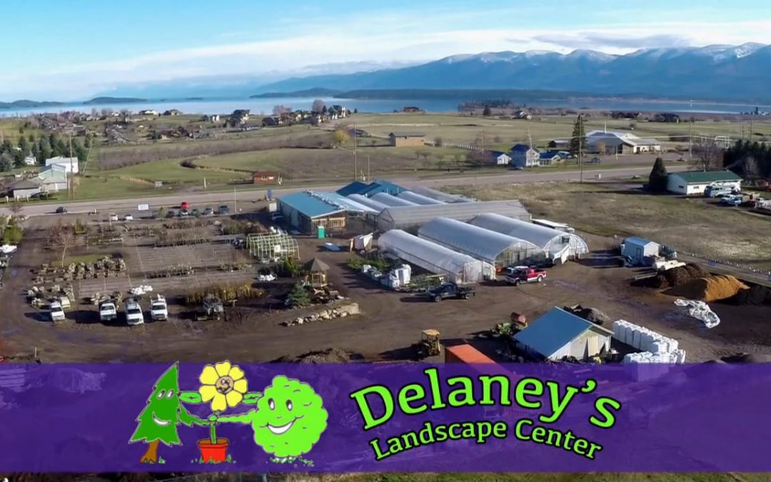 Delaney’s Landscape Center David W. King Pictures